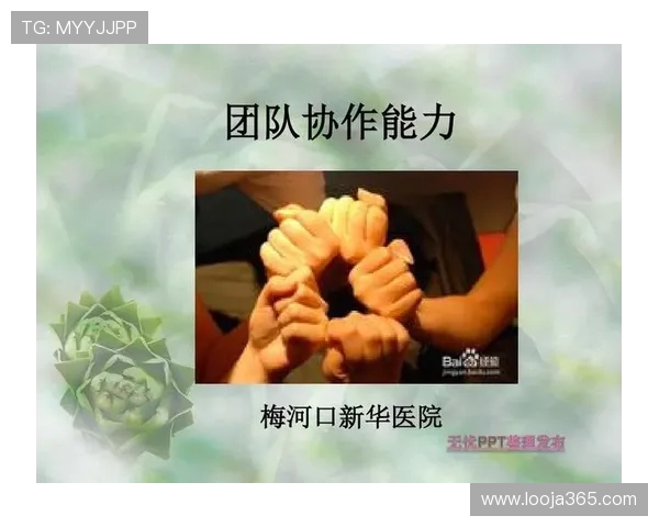 聚焦篮球竞技精神与团队协作的全景式多维度深度探索之旅精彩篇章