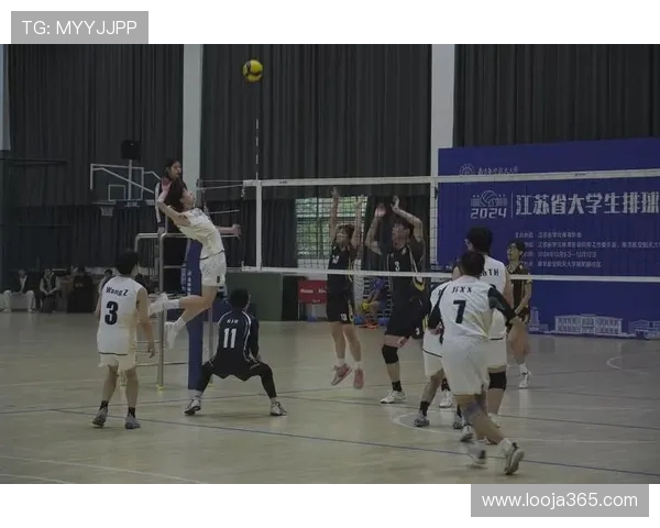 上海排球队团队协作新模式引发热议助力竞技水平提升