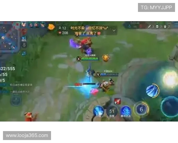 专访杨磊揭秘王者荣耀成功背后的策略与创新之路